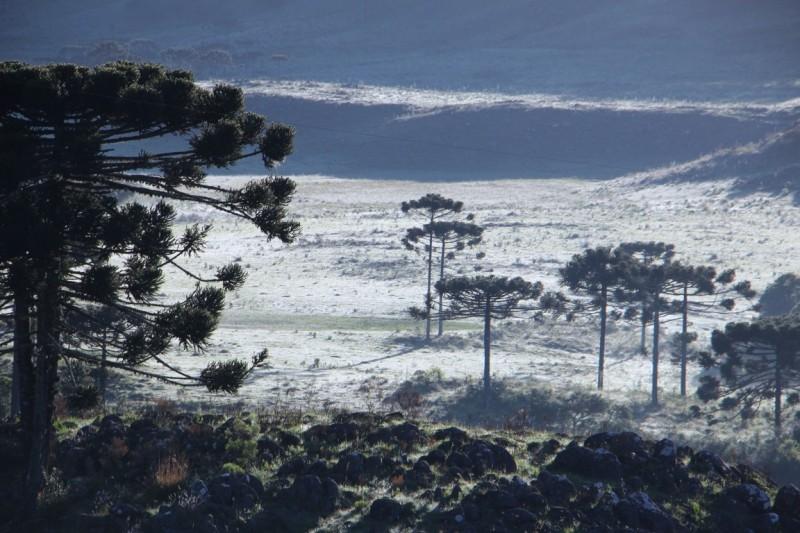Serra Catarinense registra geada e temperatura negativa na madrugada deste sábado 