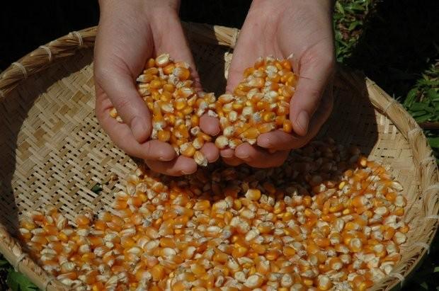 Estado investiu R$ 700 milhões em desenvolvimento rural