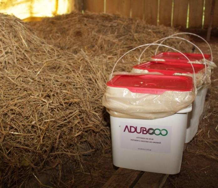 Startup de Criciúma promove coleta inteligente de resíduos orgânicos