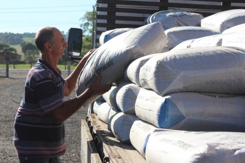 Criciúma irá fornecer sementes e mudas de banana para agricultores