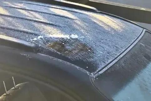 Vídeo: carros amanhecem cobertos de geada na Serra catarinense