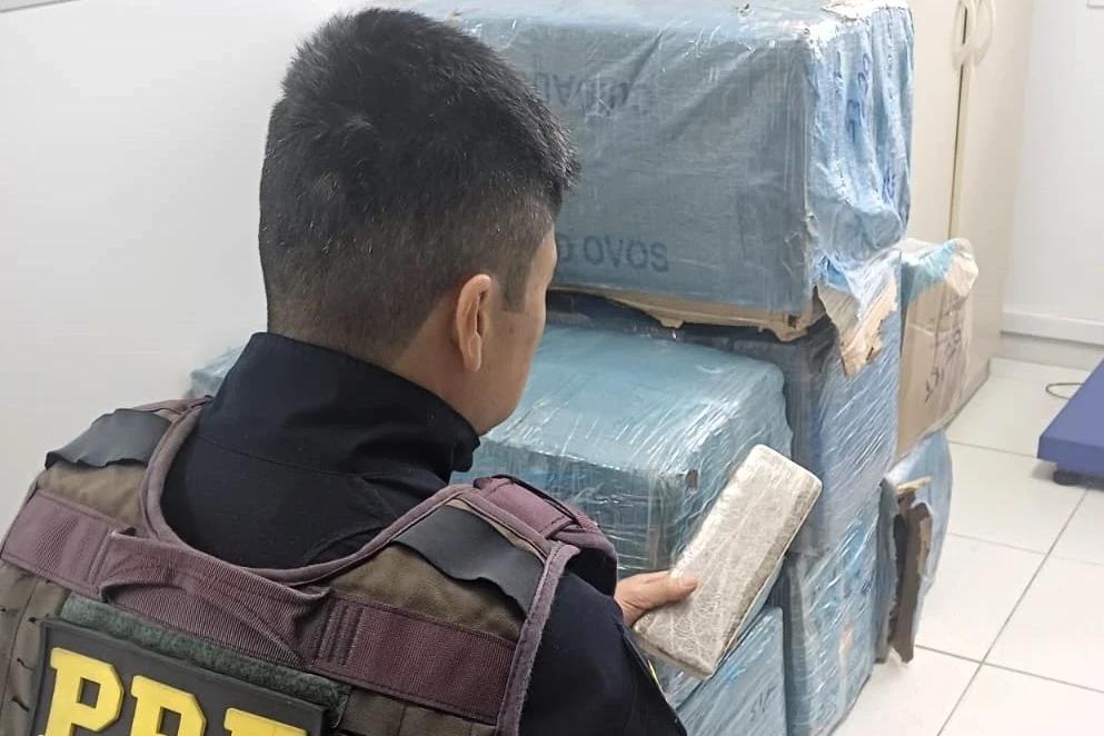 Fuga alucinada termina em prisão e apreensão de 319 quilos de maconha na BR-101