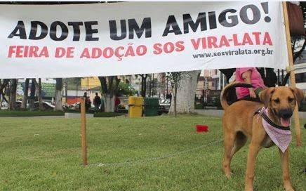 SOS Vira-Lata realiza Feira de Adoção neste sábado