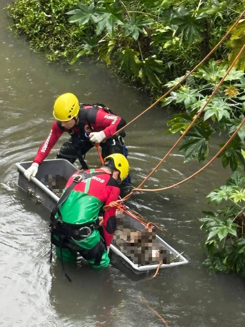 Homem encontrado morto no rio Criciúma foi vítima de homicídio, aponta Polícia Civil — foto 6