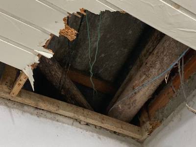 Infestação de cupins compromete cobertura do CEI Pequeno Príncipe
