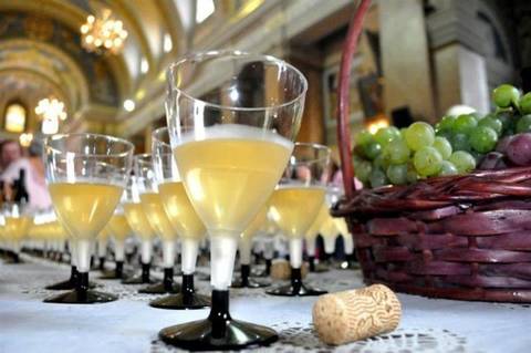 Vinho da Uva Goethe será tema de Escola de Samba