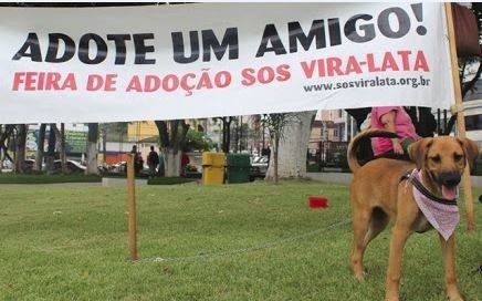 Feira de adoção de cães e gatos no Nações Shopping neste sábado