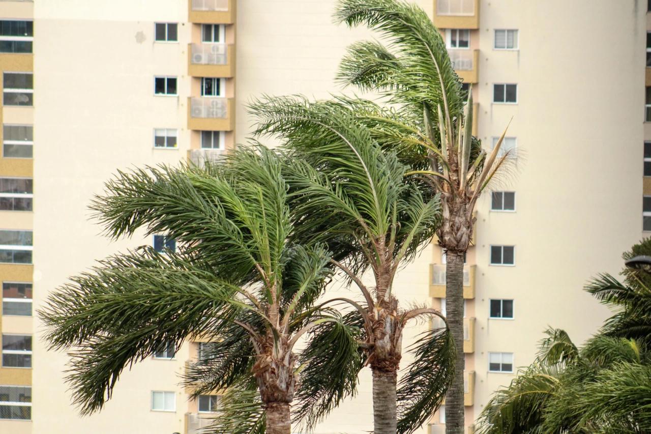 Semana começa com vento forte e frio e terá nova mudança no tempo a partir de sexta-feira