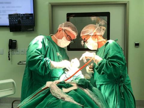 Cirurgião Bucomaxilofacial no rol de prestadores de serviço da operadora