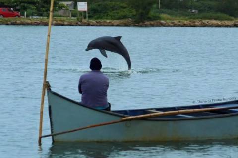 Pesca com auxílio de botos no Sul de SC é reconhecida como patrimônio imaterial do Brasil