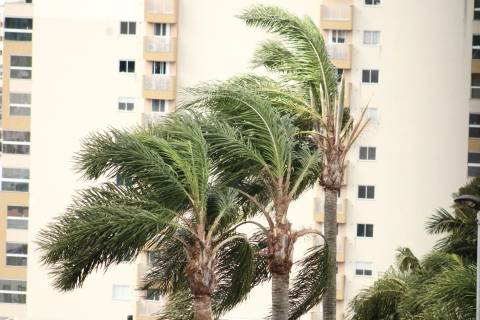 Santa Catarina: chegada de ciclone pode causar temporais e ventos intensos nesta terça-feira