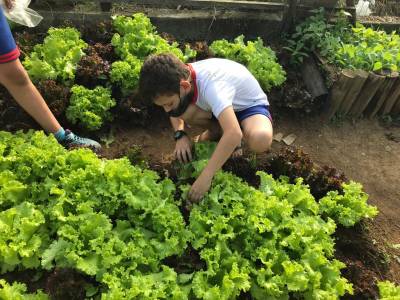 Alunos da Escola José Giassi aprendem sobre o cultivo de verduras no 1º Drive Thru da Alface